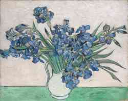 Van Gogh Irises